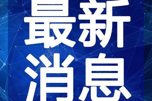 四哥哈尔滨爆料视频最新,四哥视频揭秘城市新动态 第1张 四哥哈尔滨爆料视频最新,四哥视频揭秘城市新动态 第1张